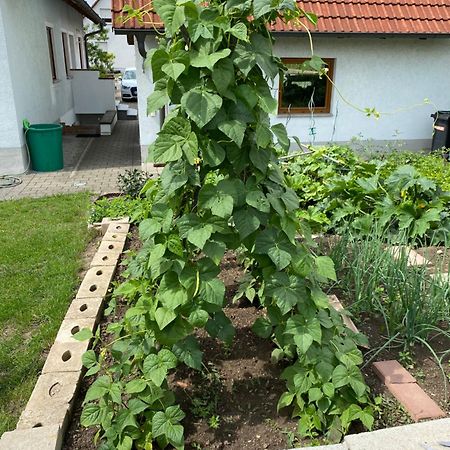 Ferienwohnung Eibenweg Gebsattel 外观 照片
