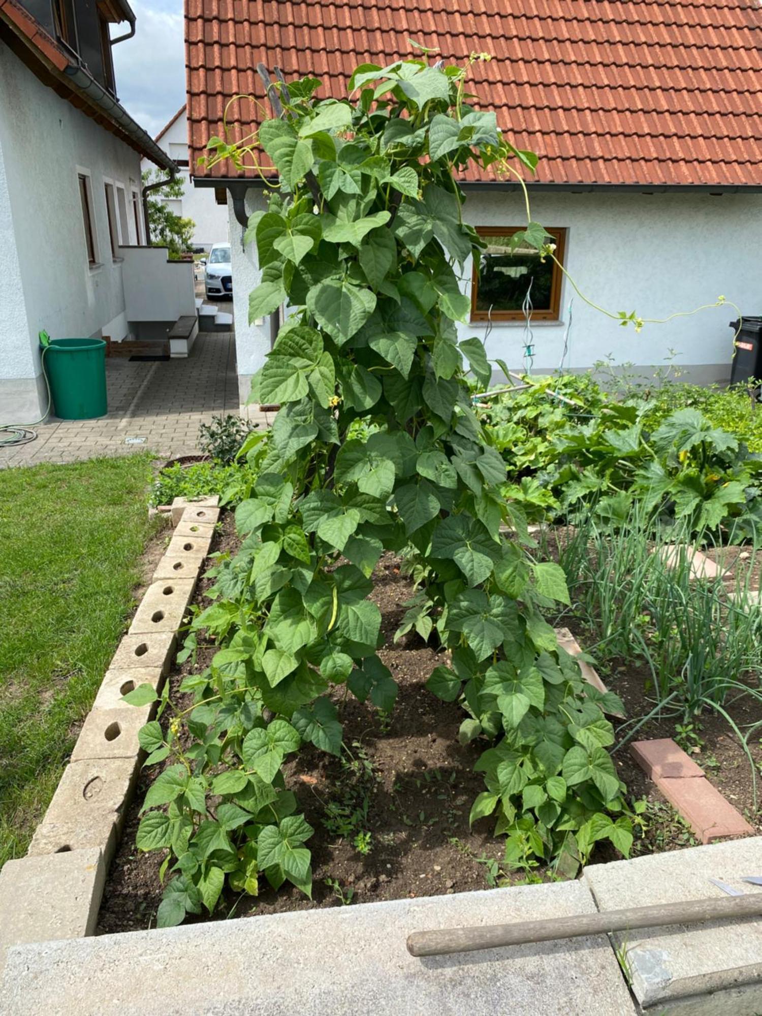 Ferienwohnung Eibenweg Gebsattel 外观 照片